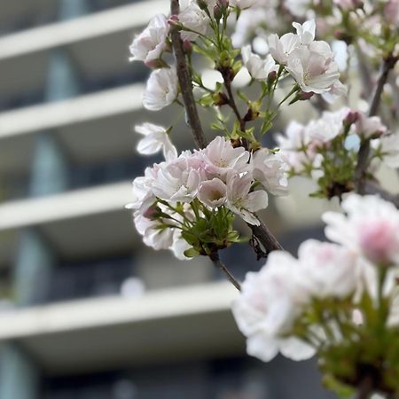 Japandi Studio Apartment, Free Parking Budapest Eksteriør billede